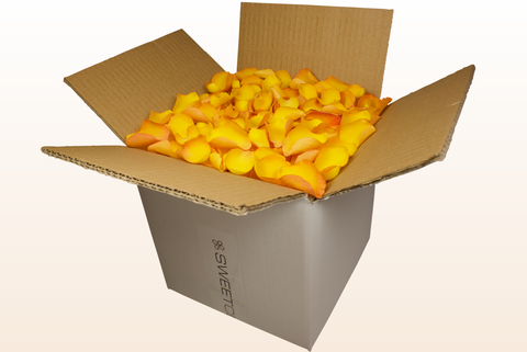 8 litre box