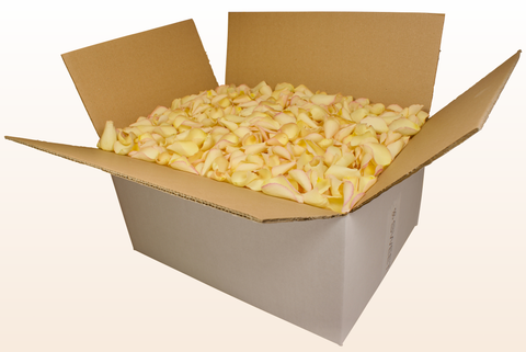 24 litre box