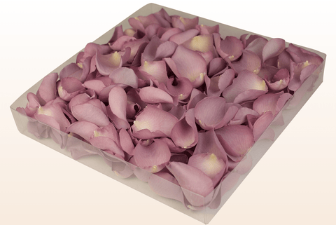 1 litre box