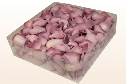2 litre box