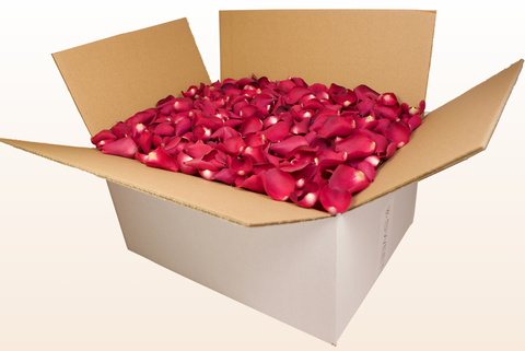 24 litre box
