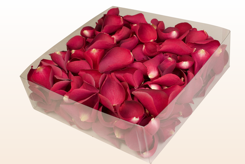 2 litre box