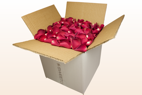8 litre box