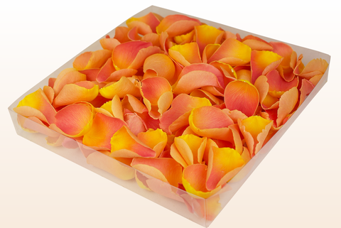 1 litre box