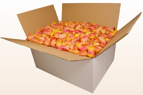 24 litre box