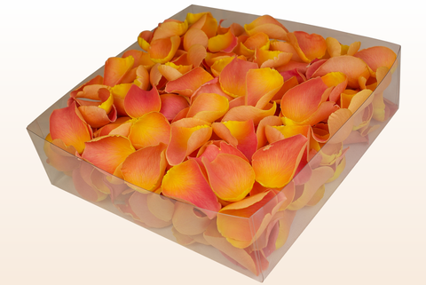 2 litre box