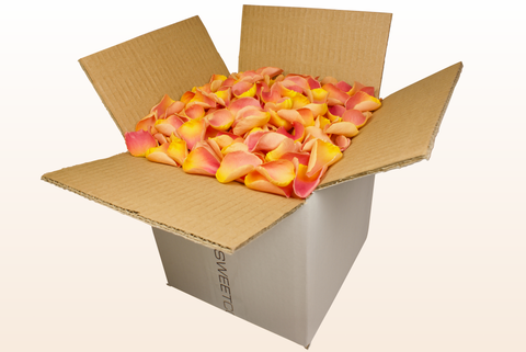 8 litre box