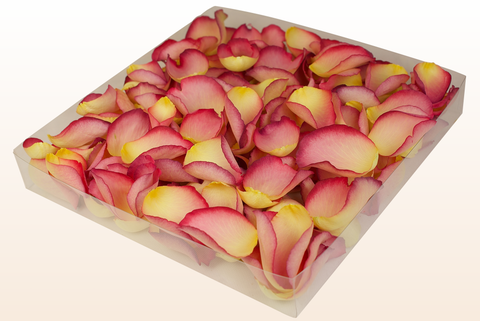 1 litre box