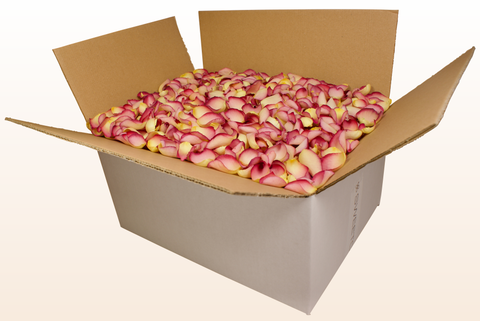 24 litre box