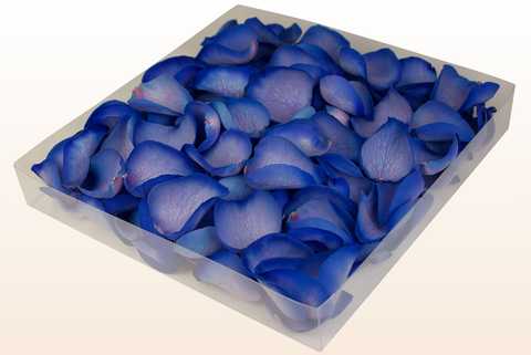 1 litre box