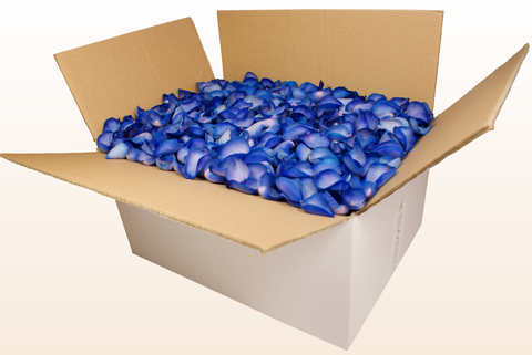 24 litre box