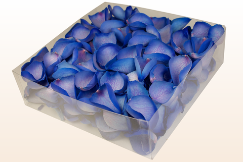 2 litre box