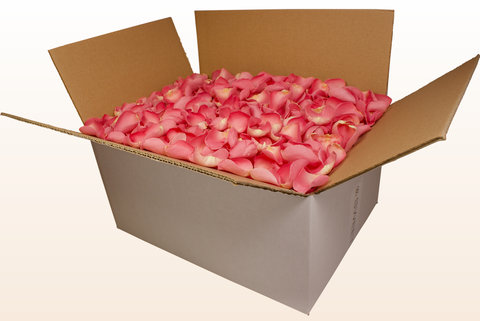 24 litre box