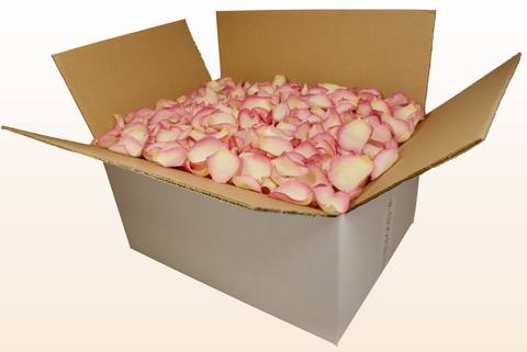 24 litre box