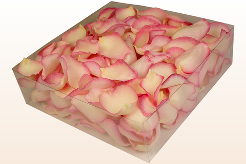 2 litre box