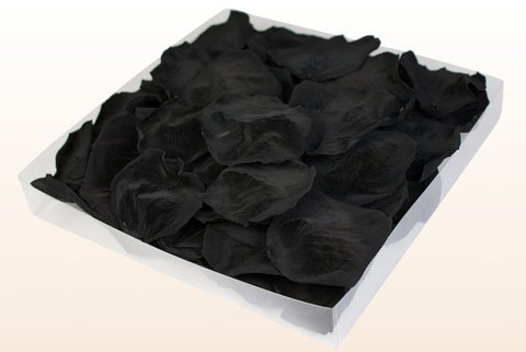 1 litre box