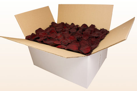 24 litre box