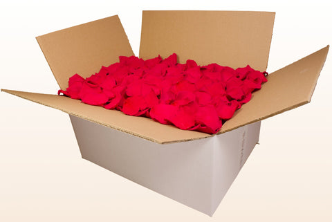 24 litre box