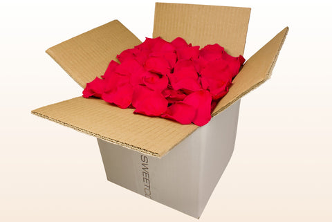 8 litre box