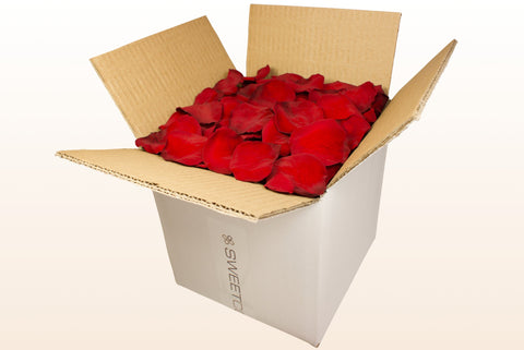 8 litre box