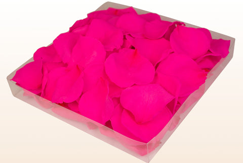 1 litre box