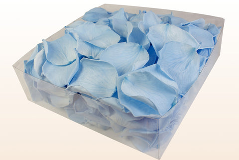 2 litre box