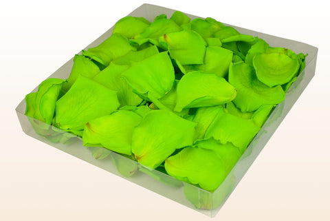 1 litre box