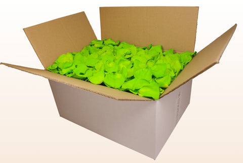 24 litre box