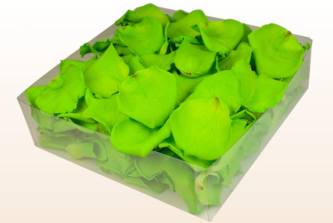 2 litre box