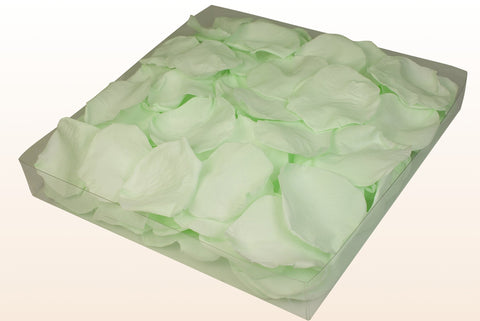 1 litre box