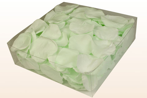 2 litre box