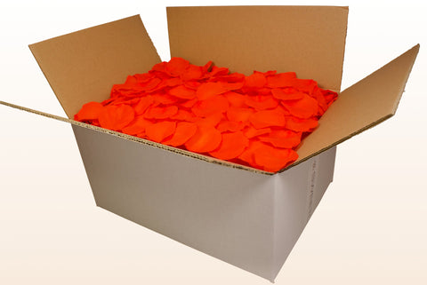24 litre box