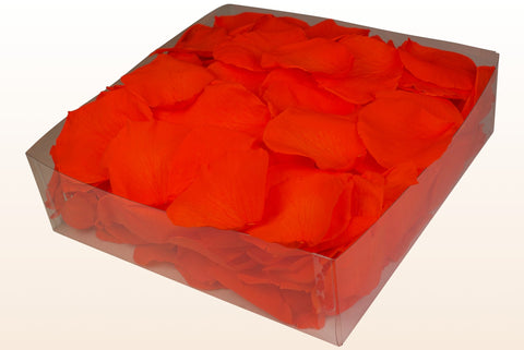 2 litre box