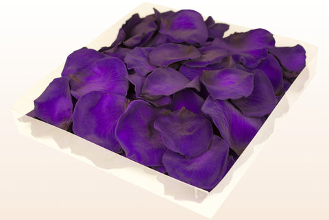 1 litre box