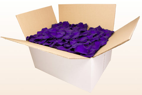24 litre box