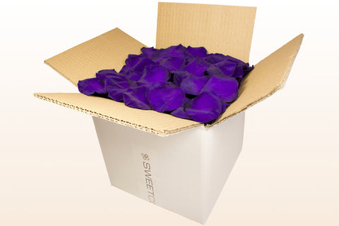 8 litre box