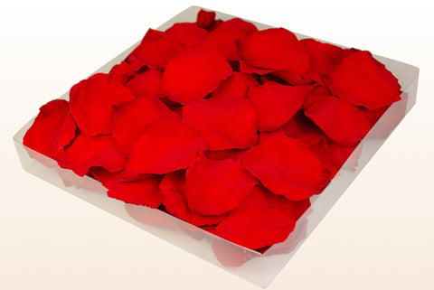 1 litre box