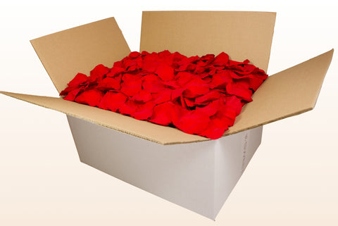 24 litre box