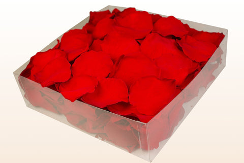 2 litre box