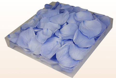 1 litre box