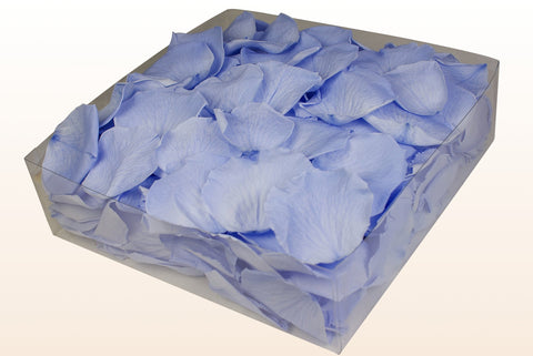 2 litre box