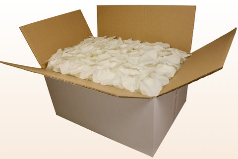 24 litre box