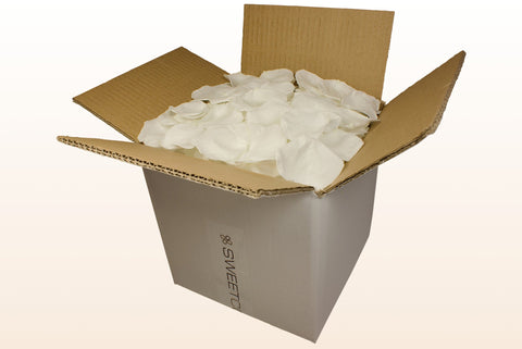 8 litre box