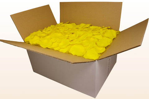 24 litre box
