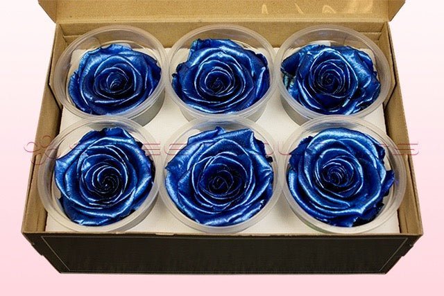 Preserved roses - Metallic blue – Sweet Colours