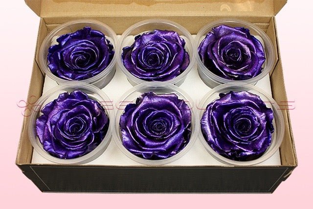 Real Metalic Purple Roses Preserved roses - Metallic purple – Sweet Colours