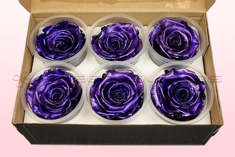 Size XL, 6 roses