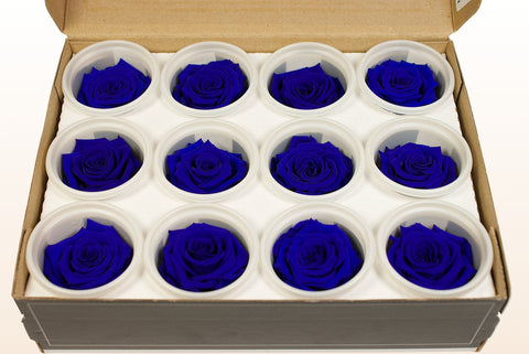 Size S, 12 roses