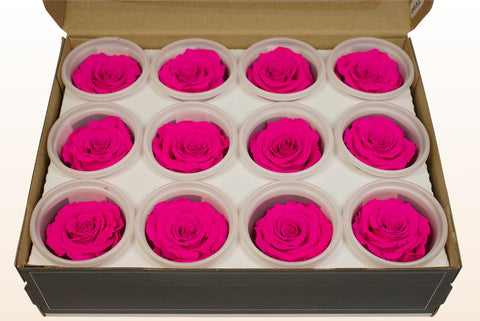 Size S, 12 roses