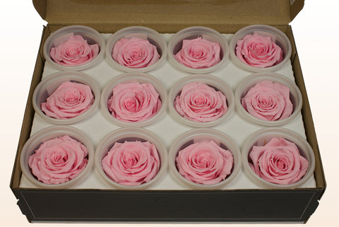 Size S, 12 roses